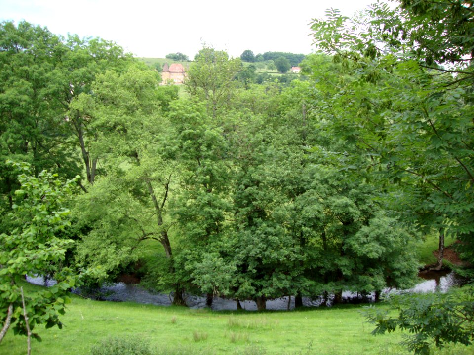 Maizilly (Loire, Fr) Paysage avec le Botoret (rivière)