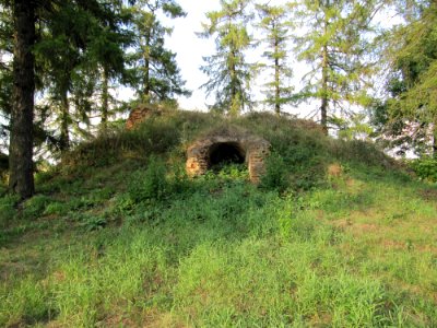 Makrany - Chyrvonaja Dubrava village - manor Woynillowicz family 05 - 2014 AD
