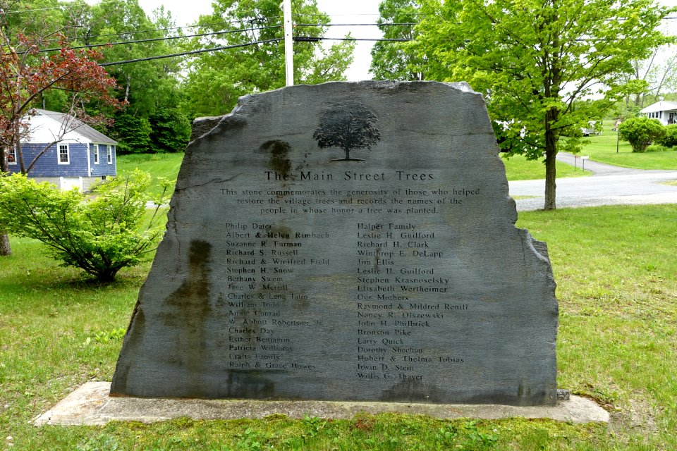 Main Street Trees - Belding Memorial Park - Ashfield, Massachusetts - DSC06497