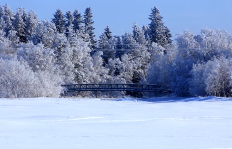 Maininkisilta Oulu 20170305