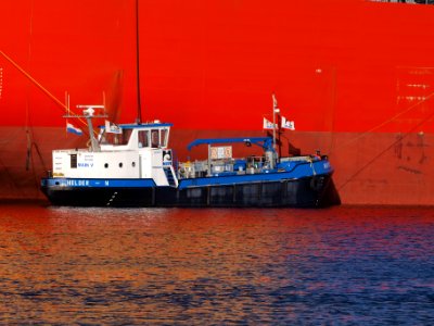 Main V IMO 2327365