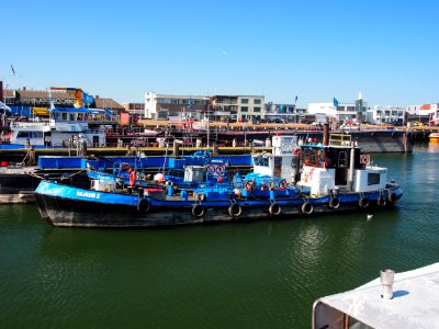 Main X - ENI 02312345, Port of Amsterdam, Vissershaven, IJmuiden pic2
