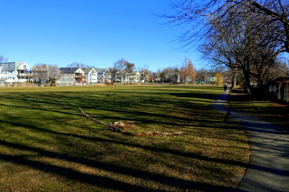 Magnolia Park (Magnolia Field) - Arlington, MA - DSC04980