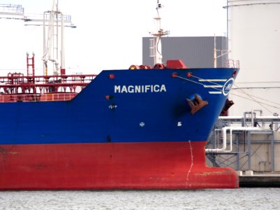 Magnifica - IMO 9374234, Port of Antwerp pic3