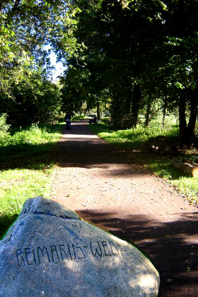 Magdeburg Reimarusweg