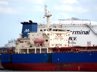 Magnifica - IMO 9374234, Port of Antwerp pic2