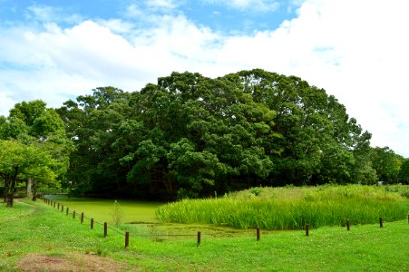 Magodayu-yama Kofun zenkei