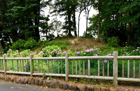 Maginu Kofun, funkyu