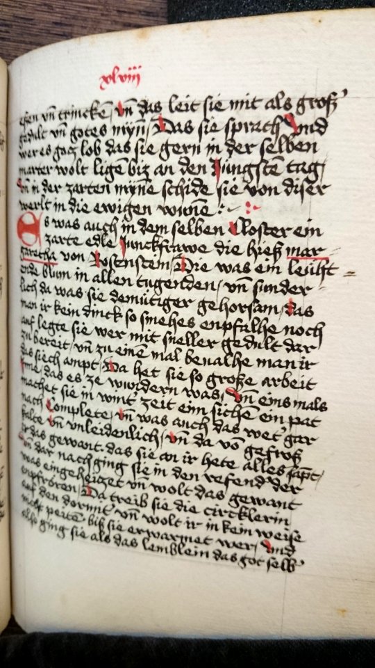 Mainz Gotteszeller schwesternbuch rosenstein