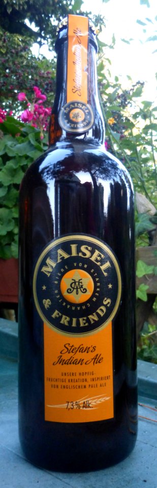 MaiselFriendsSIndianAle