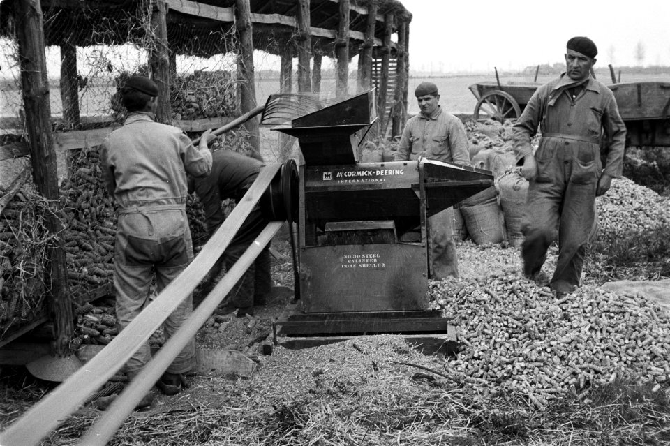 Maisdorsmachine. Merk Mc. Cormick-Deering, Bestanddeelnr 170-0649