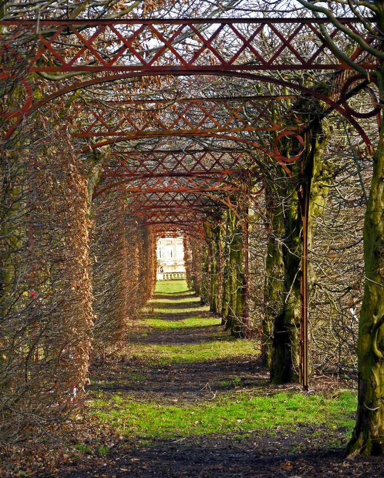 Hedge accounting portals shadow photo