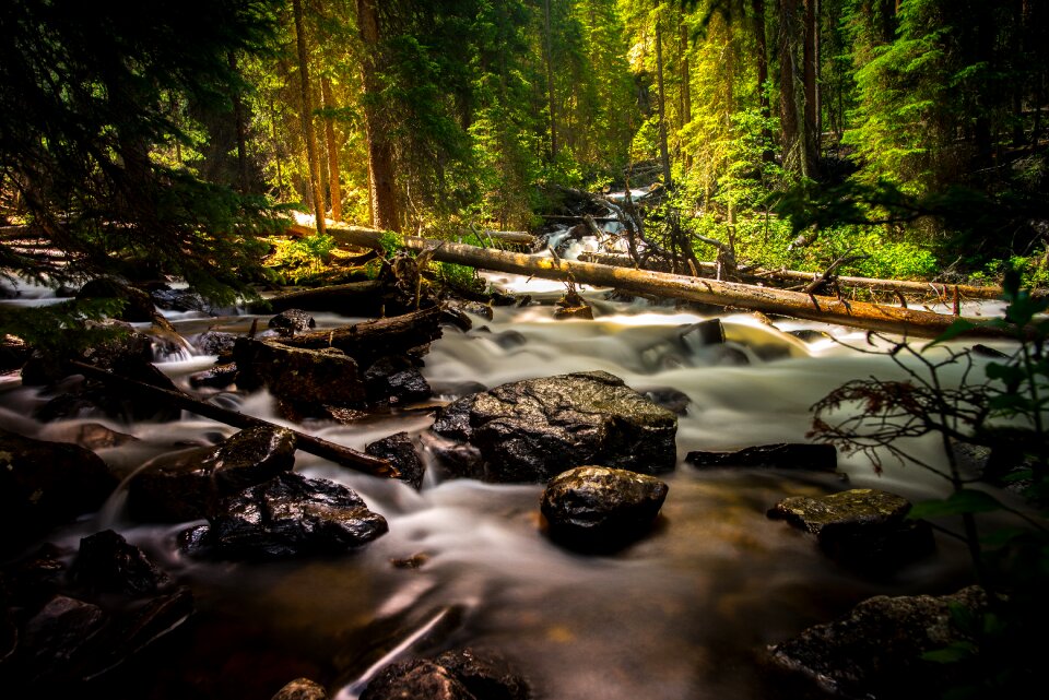 Nature outdoors river