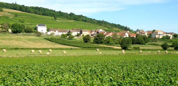 Marcheseuil Vue d'ensemble 10