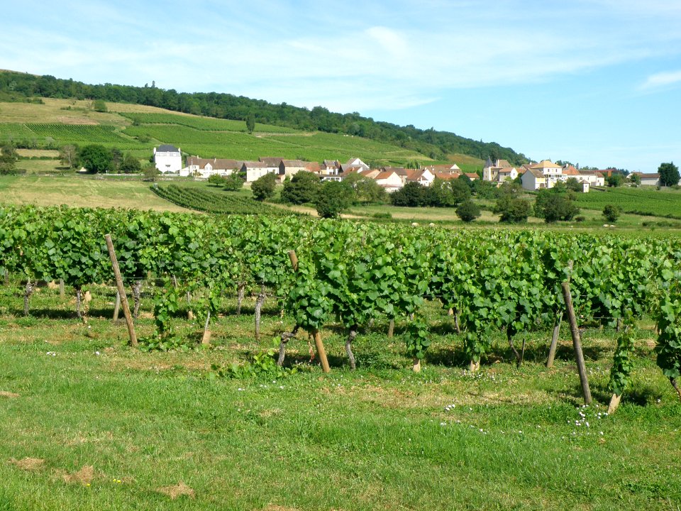 Marcheseuil Vue d'ensemble 7