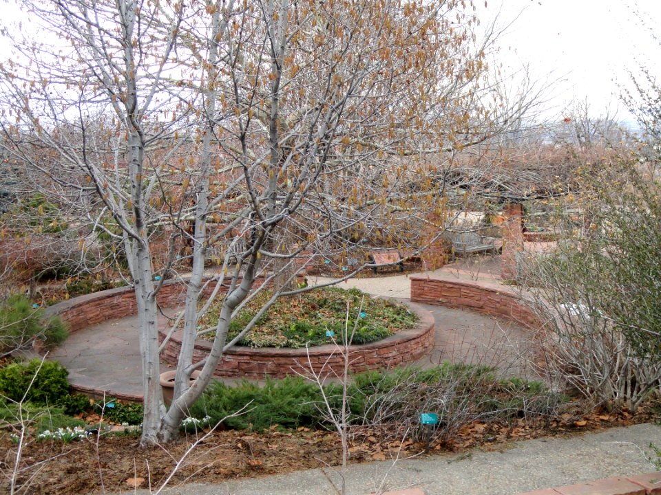 March vista - Red Butte Garden and Arboretum - DSC07545