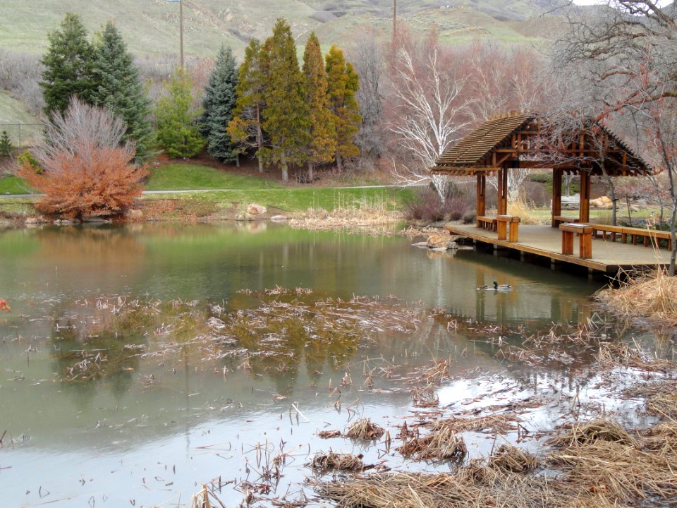 March vista - Red Butte Garden and Arboretum - DSC07509