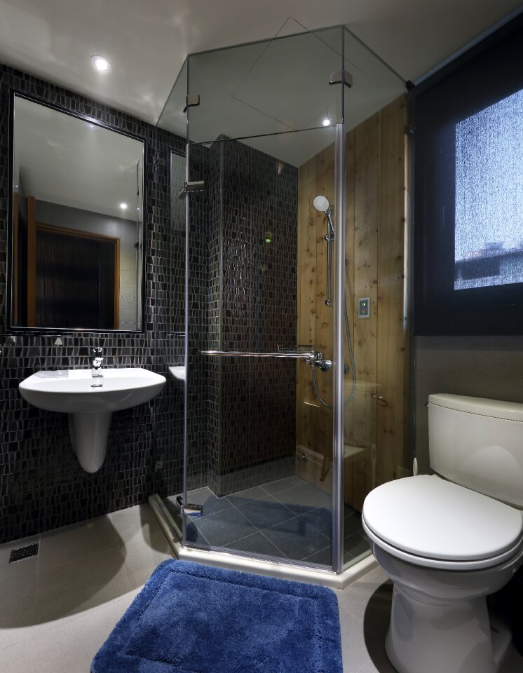 Toilet bathroom shower