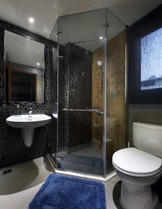 Toilet bathroom shower