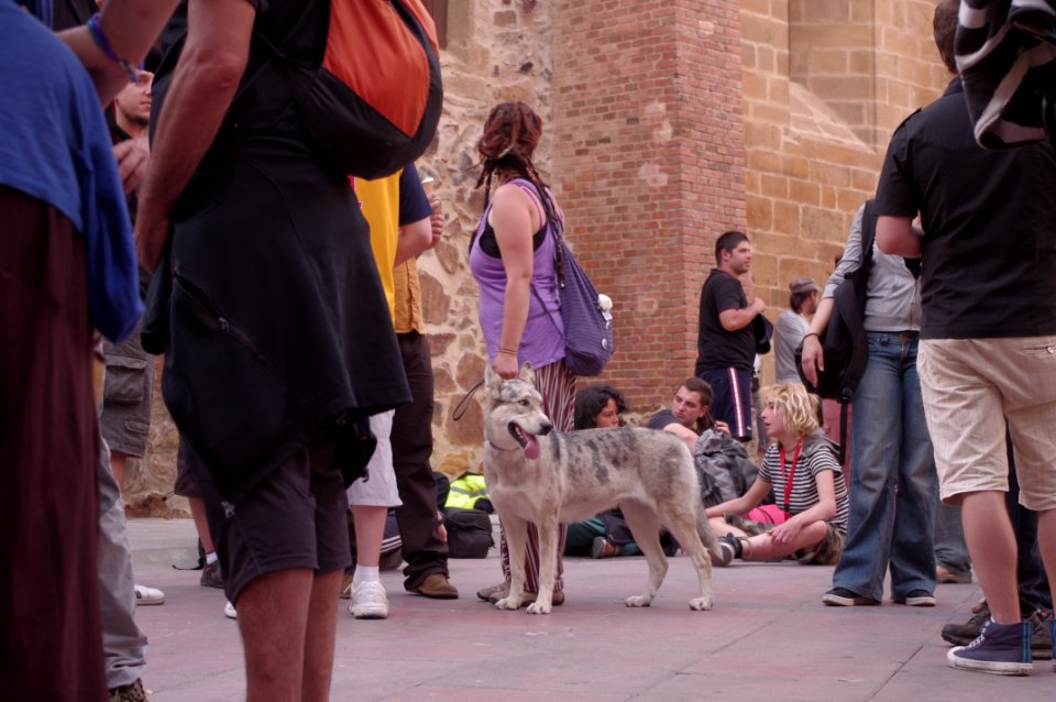 Marcha Indignada 038