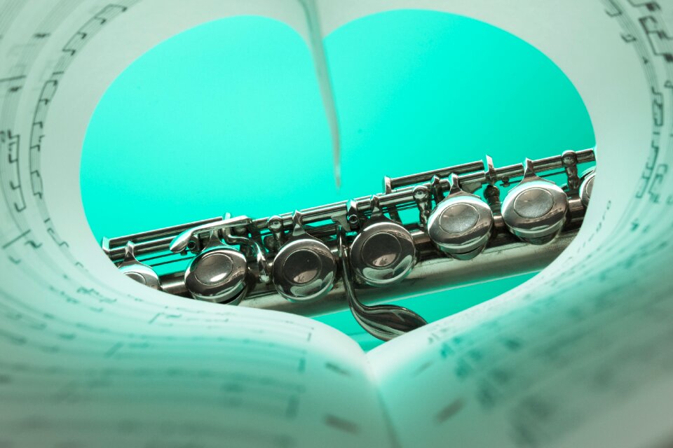Music instrument classic