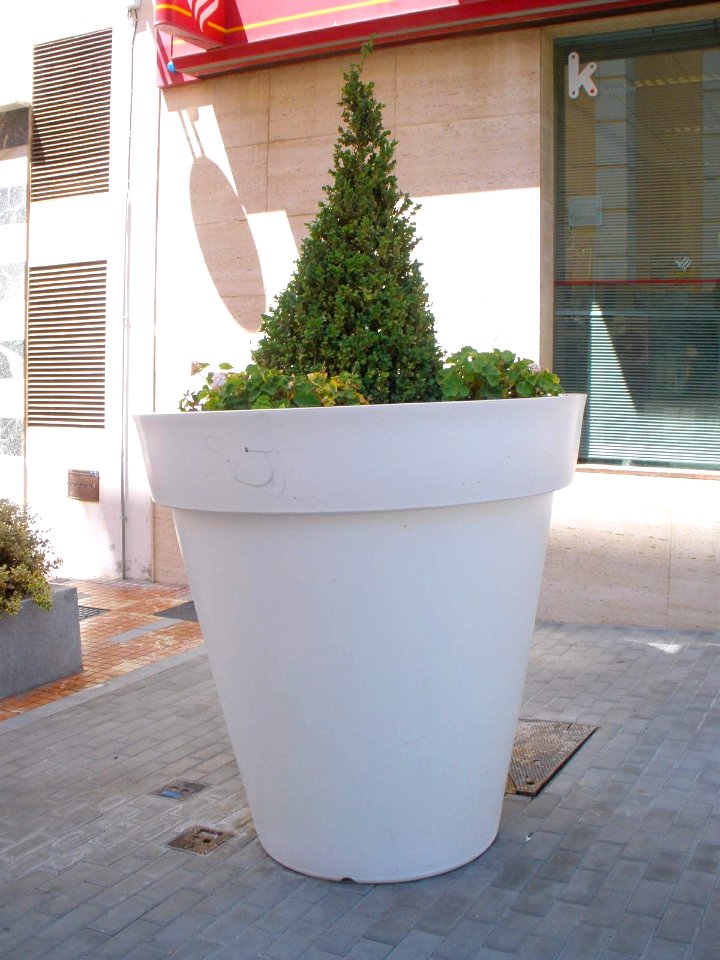 Marbella - San Pedro Alcántara 01