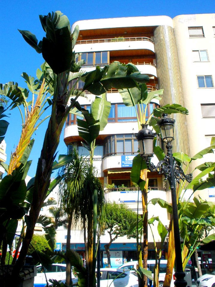 Marbella - Parque de la Alameda 10