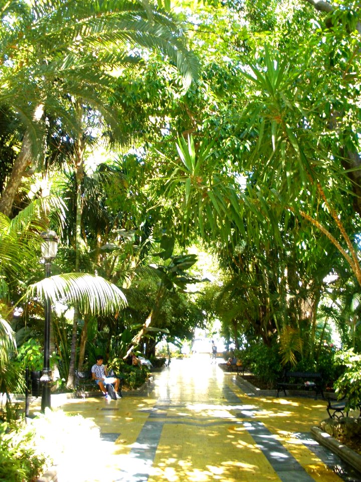 Marbella - Parque de la Alameda 02