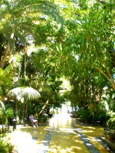 Marbella - Parque de la Alameda 02