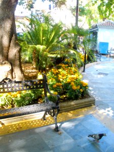 Marbella - Parque de la Alameda 07