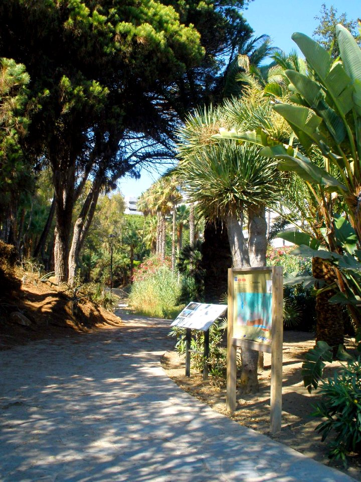 Marbella - Paseo Marítimo 02