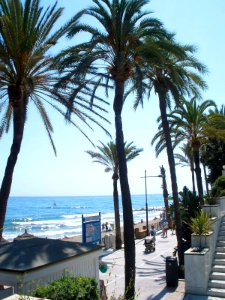 Marbella - Paseo Marítimo 01