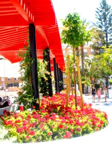 Marbella - San Pedro Alcántara, Plaza de la Iglesia 02