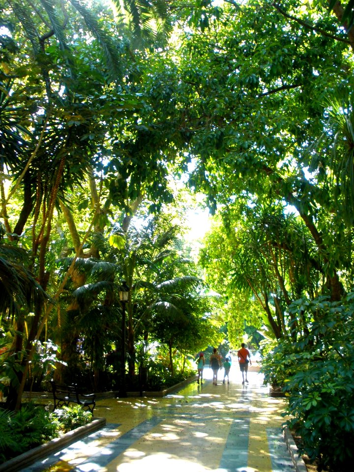 Marbella - Parque de la Alameda 03