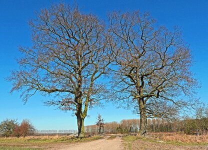 Flat land münsterland bridge brook photo