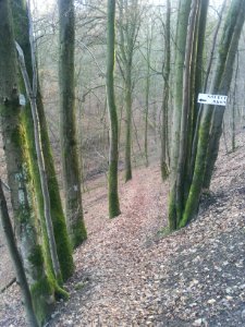 Marcourt-Bron van Sint-Thibaut (1)