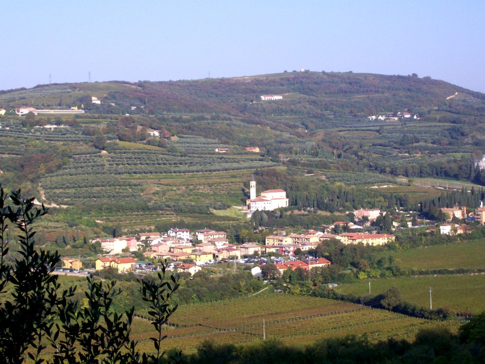 Marcellise panorama