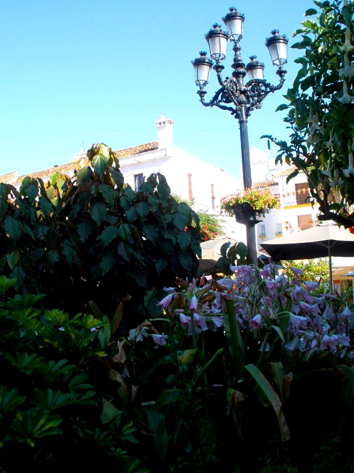 Marbella - Plaza de los Naranjos 5