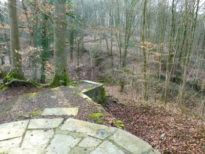 Marcourt-Ermitage et chapelle Saint-Thibaut (21)