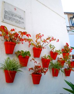 Marbella - Plaza de los Naranjos 4