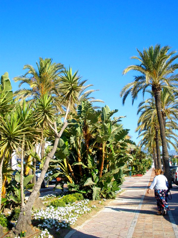 Marbella - Nueva Andalucía 03