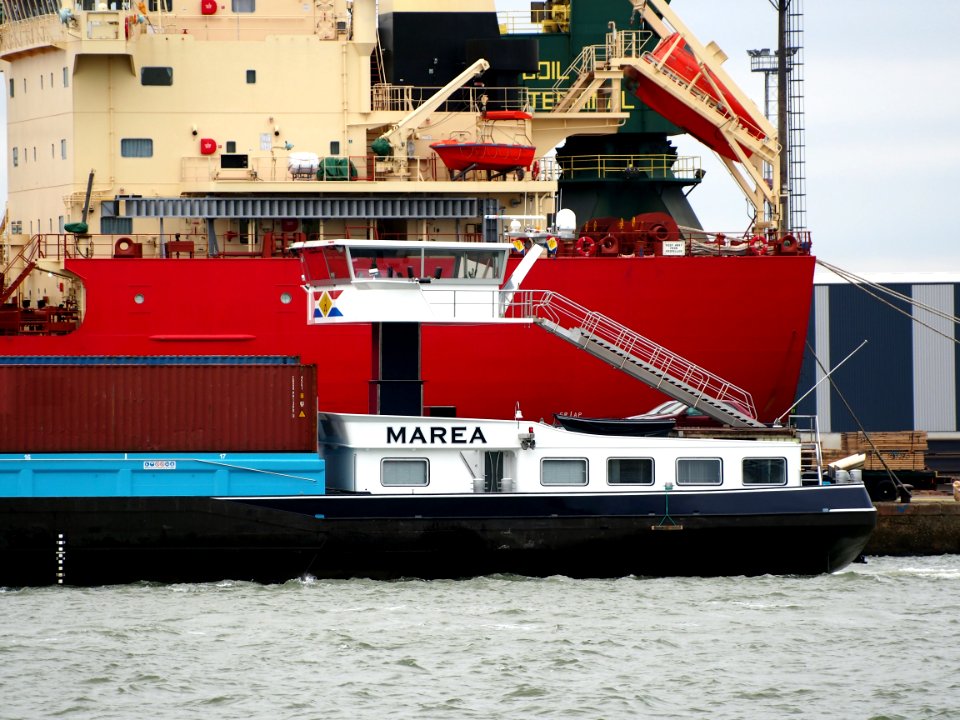 Marea (ship, 2009), ENI 02331459, Port of Antwerp