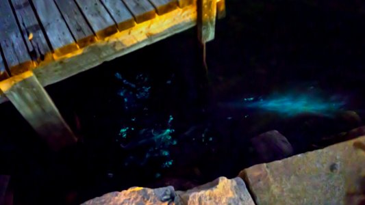 Mareel - Bioluminescence in Norra Grundsund harbor 1