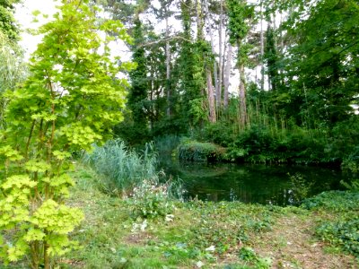 Mare au jardin agronomique tropical