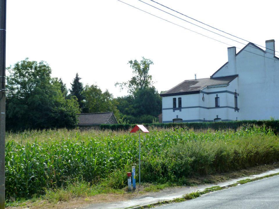 Marcinelle-Tumulus de Marcinelle (1)