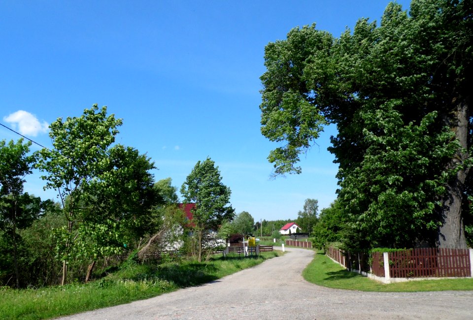 Marcinkowo (Olsztyn) AB-031