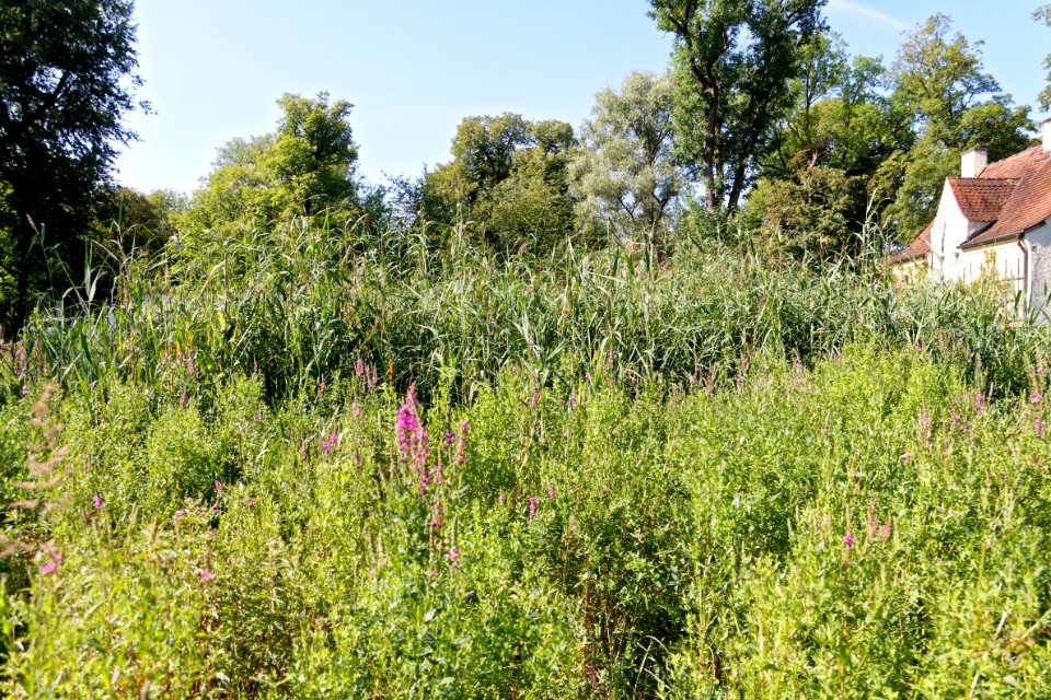 Maria-Einsiedel-Bad Wasseraufbereitung-bjs200723-06