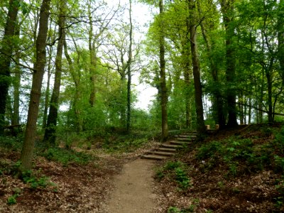 Maria-Hoop-Motte Bollenberg (9)