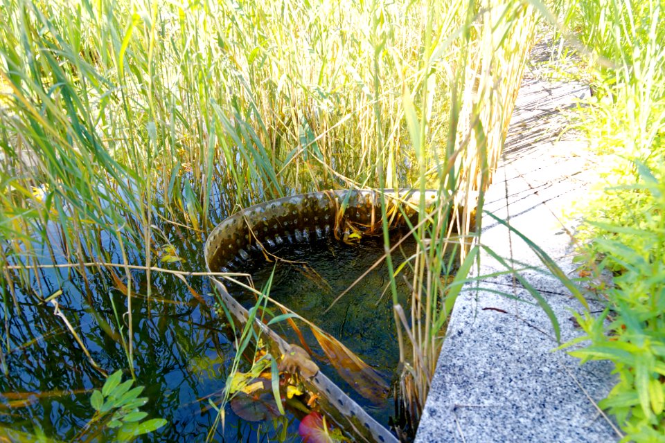 Maria-Einsiedel-Bad Wasseraufbereitung-bjs200723-05