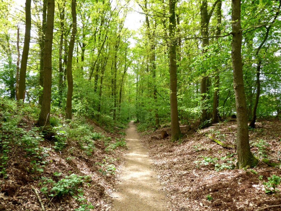 Maria-Hoop-Motte Bollenberg (8)